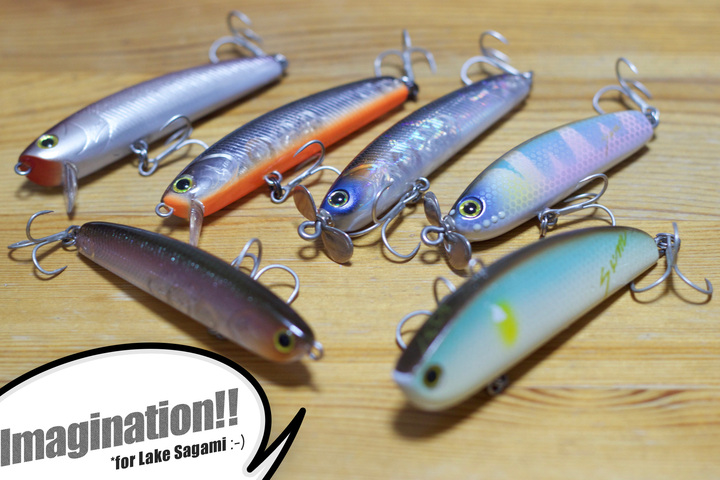 基本は小魚系で